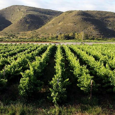 Апартаменты Tanagra Wine & Guestfarm Макгрегор Экстерьер фото