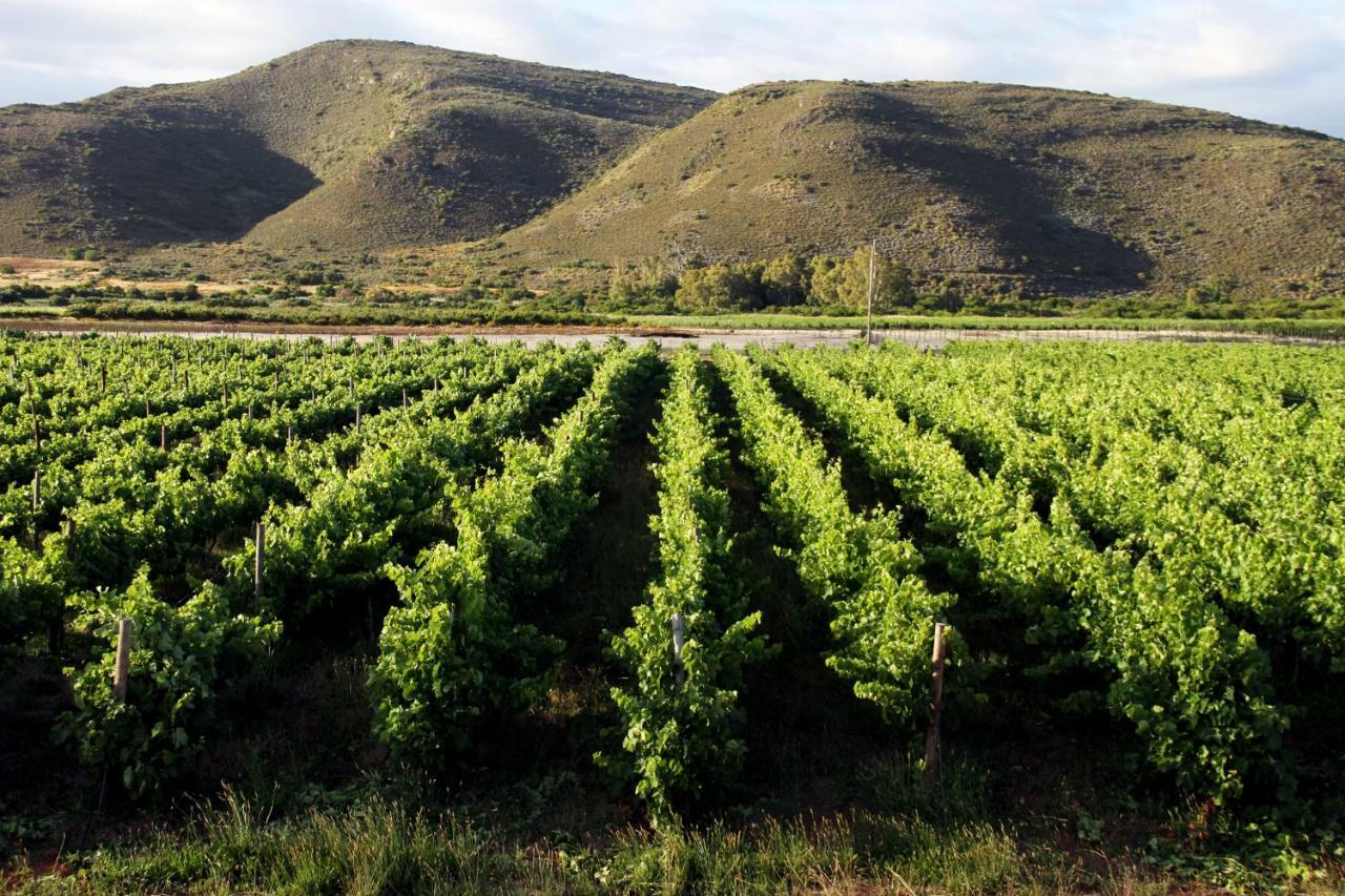 Апартаменты Tanagra Wine & Guestfarm Макгрегор Экстерьер фото